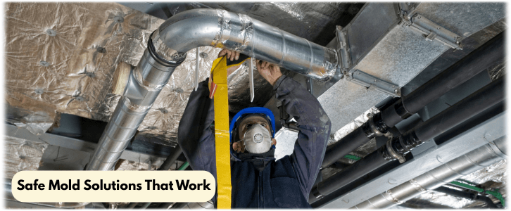 Air Duct Mold Removal in Phoenix AZ