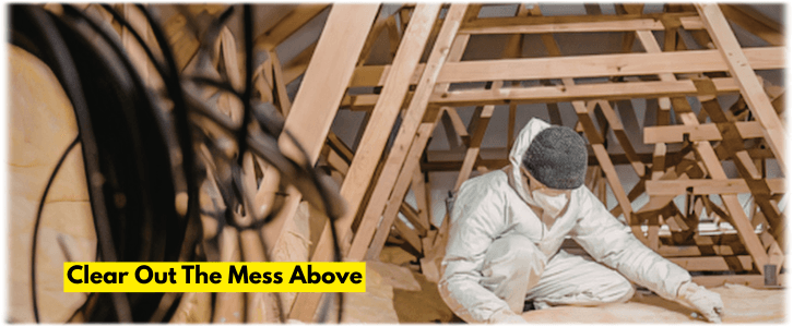 Attic Cleaning Phoenix AZ