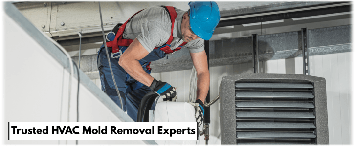 HVAC Mold Removal Phoenix AZ